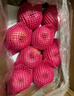 京鮮生 煙臺(tái)紅富士蘋果 凈重10斤 單果220g以上 生鮮水果 禮盒裝 曬單實(shí)拍圖