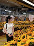紅蜻蜓正肩polo衫短袖t恤女夏季2025年新款顯瘦不規則短款上衣 杏色 L （105-115斤） 曬單實(shí)拍圖