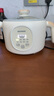 飛利浦（PHILIPS）車載冰箱配件12V24V直流線家用220V適配器電源線 電源適配器 曬單實(shí)拍圖