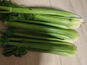 京鮮生山東新鮮大西芹凈重4.5斤榨汁現(xiàn)挖芹菜鮮嫩蔬菜 去半葉源頭直發(fā) 曬單實(shí)拍圖