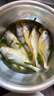 黃花魚新鮮小黃魚深海魚海鮮水產(chǎn)鮮活海鮮魚新鮮鮮活冷凍非大黃魚 2斤小黃花魚 曬單實拍圖