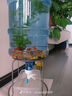 美菱（MeiLing）空氣循環(huán)扇/家用電風(fēng)扇落地客廳臺立兩用搖頭輕音低噪節(jié)能立式交流定頻電扇MPF-DX502RY語音遙控款 曬單實拍圖