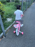 永久兒童自行車3-8歲小孩腳踏單車寶寶中大童女孩公主款童車 【升級-白胎】小貓粉+護(hù)具禮包 16寸 曬單實拍圖