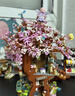 俐智（Loz）拼裝積木模型成人拼插街景男女兒童節玩具生日禮物1381櫻花樹(shù)屋 曬單實(shí)拍圖