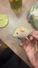 貓咪好物仿真毛絨老鼠貓玩具套裝解悶自嗨逗貓禮物 貓咪老鼠【3只】 曬單實(shí)拍圖