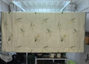 羅萊 蠶絲被子100%全棉A類(lèi)抗菌可水洗蠶絲夏被約3.2斤JDear京東定制款 曬單實(shí)拍圖