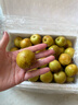 京鮮生  陜西大荔冬棗 凈重2斤單果12g+  源頭直發(fā)【搜生鮮館】 曬單實(shí)拍圖