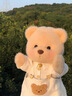 莉娜熊（TeddyTales）小熊玩偶毛絨玩具熊泰迪手作熊安撫娃娃送禮送人女生生日禮物 奶白色（明星款） 中號(hào)站姿約30cm 曬單實(shí)拍圖