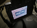 尼康（Nikon）【國(guó)行帶票】Z50II半畫幅新手入門級(jí)微單相機(jī)Z50 II 高清攝影攝像 直播美顏?zhàn)耘膠50二代便攜相機(jī) Z50II 單機(jī)/全新未開封（不含鏡頭） 官方標(biāo)配【下單送屏幕膜+座充+清潔 曬單實(shí)拍圖