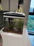 長銳魚缸一體缸自循環(huán)免換水家用客廳桌面小型金魚缸超白玻璃養(yǎng)魚缸 超白CRV280標準款+水蘭青竹景（真水草） 曬單實拍圖