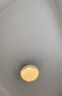 大自然照明餐廳風(fēng)扇燈客廳燈風(fēng)扇一體吊扇燈臥室隱形扇吸頂燈帶電風(fēng)扇吊燈 C款靜音吊燈風(fēng)扇燈隱形扇葉 三色變光 曬單實拍圖