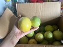 正宗云南百香果欽蜜9號(hào)黃金百香果旺久產(chǎn)地直發(fā)新鮮水果夏季 【精選出口高品質(zhì)】大果5斤 曬單實(shí)拍圖