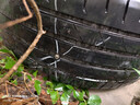 德國馬牌（Continental）輪胎/靜音棉輪胎 265/45R21 108V XL EC6 SIL 原配WEY 摩卡PHEV 曬單實(shí)拍圖