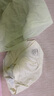 有棵樹A類嬰兒棉女士?jī)?nèi)褲女純棉7A抗菌加長(zhǎng)襠高彈透氣精梳棉女生三角褲 曬單實(shí)拍圖
