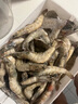 海云馨蝦活蝦速凍生鮮青島大蝦海蝦海鮮水產(chǎn)鮮活冷凍凍蝦超大白蝦 16-18cm整箱 3斤(凈重)  活蝦速凍 曬單實拍圖