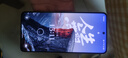 realme【國(guó)家補(bǔ)貼】真我GT7 Pro 12+256星跡鈦 驍龍8至尊版 6500mAh大電池 三星OLED屏 智能AI手機(jī) 曬單實(shí)拍圖
