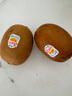 佳沛（zespri）新西蘭  陽光金奇異果10粒禮盒巨大果單果約144-175g 水果 獼猴桃 曬單實拍圖