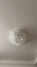 鹿家良品（LUUGAA）羽葉臥室吸頂燈客廳燈奶油風(fēng)羽毛燈主臥臥室燈全光譜護(hù)眼中山燈具 護(hù)眼72cm三色光72W吸頂 曬單實拍圖