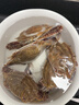 梭子蟹鮮活特大野生舟山大螃蟹海鮮新鮮冷凍海蟹水產(chǎn)飛蟹白蟹順豐 7-9兩/只 【凈重5斤特大梭子蟹】 曬單實拍圖