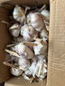 果臻鮮紫皮大蒜 2025年河南中牟紫皮大蒜 干蒜 可做糖蒜 臘八蒜 凈重5斤(果徑≥5cm) 曬單實(shí)拍圖