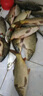HIKMICRO 探魚器 聲吶探魚可視高清釣魚路亞無線手機可視筏釣水下找魚神器 探魚神器-送線輪【順豐包郵】 曬單實拍圖