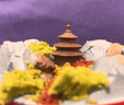 派悅坊滿(mǎn)庭芳園林微景觀(guān)紅絲絨生日蛋糕楊梅荔枝蛋糕同城新鮮當天配送 曬單實(shí)拍圖