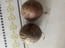 騎猴趕馬欽蜜9號黃金百香酸甜可口百香果云南生鮮現(xiàn)摘現(xiàn)發(fā)水果黃金百香果 凈重2斤【單果45-60g】 【果蔬金榜力推TPO】 曬單實(shí)拍圖