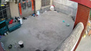 域云家用攝像頭手機(jī)遠(yuǎn)程監(jiān)控器360度無(wú)死角帶夜視全景語(yǔ)音自動(dòng)旋轉(zhuǎn)可對(duì)話室內(nèi)外看老人小孩寵物監(jiān)控 室外防雨4G【0充值0費(fèi)用】無(wú)需裝寬帶+全功能 WIFI標(biāo)準(zhǔn)版+送云存儲(chǔ)3天【自購(gòu)內(nèi)存卡方可本地】 曬單實(shí)拍圖