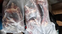 羋羊羊 寧夏黃牛 牛肋眼骨凈重8斤帶骨牛肋排 手抓牛肋排 燒烤源頭直發(fā) 曬單實拍圖