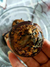黃六爺廣西牛奶大馬蹄荸薺新鮮5斤水果珍珠馬蹄蓮無為荸薺馬蹄果包郵 新鮮脆甜多汁 1斤【特大果】約15-20個 曬單實拍圖