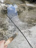 雨虹防水 屋頂防水補漏材料 防水膠 補漏王 耐高溫耐曬隔熱防水涂料 18kg 曬單實拍圖