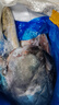 【京東快遞】海雜魚新鮮深海魚雜魚小魚小蝦大雜燴海鮮水產冷凍發(fā) 10斤【種類隨機發(fā)】 海雜魚 曬單實拍圖