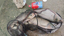 一味NEX魚竿輕量大物釣竿極輕鰱鳙竿臺釣竿釣魚竿手竿魚桿  7.2m 曬單實拍圖