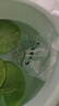 寵小俠純種孔雀魚(yú)觀(guān)賞魚(yú)好養耐活淡水小型魚(yú)熱帶魚(yú)鳳尾熱帶魚(yú)小魚(yú)苗 20條小型魚(yú)混養套餐1 曬單實(shí)拍圖