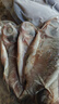 微山湖野生鯽魚土漁民捕撈活魚現(xiàn)殺凈膛滋補(bǔ)燉湯400g/袋 中號(hào)【4-6條/400g】400g*3袋 曬單實(shí)拍圖