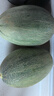 山東西州蜜哈密瓜 頭茬新鮮現(xiàn)摘網(wǎng)紋哈密瓜水果整箱 哈密瓜凈重2-3斤1-2個(gè) 曬單實(shí)拍圖