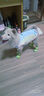 甜苗苗狗狗鞋子小狗透氣涼鞋泰迪柯基網(wǎng)鞋小型犬秋夏季遛狗防臟鞋套腳套 狗狗鞋子【皮革包綠色】 L（建議12-15斤） 升級反光包邊 曬單實(shí)拍圖