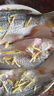 黃翅魚(yú) 黃立魚(yú) 黃墻黃蠟魚(yú)潮汕海鮮水產(chǎn)品黃腳立魚(yú)黃鰭鯛赤翅魚(yú) 3-4條1斤（去肚前500g） 曬單實(shí)拍圖