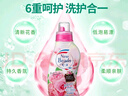 花王（KAO）洗衣液740g持久留香日本進(jìn)口潔凈去污除臭含柔順劑 香味隨機(jī)發(fā)貨 曬單實(shí)拍圖