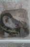 BKUMAN進(jìn)口原絲ygkpejp線(xiàn)8編路亞專(zhuān)用12編遠投打黑大力馬順滑強拉力魚(yú)線(xiàn) 8編五彩【YGKPEJP線(xiàn)】300米 1.2 曬單實(shí)拍圖