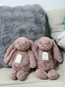 Jellycat致臻害羞羅莎維洛邦尼兔動(dòng)物毛絨玩偶安撫送禮娃娃生日禮物520 害羞羅莎邦尼兔 H31 X W12 CM 曬單實(shí)拍圖