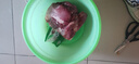 普惑原切批發(fā)驢肉每日現(xiàn)殺冷凍生鮮驢肉農(nóng)家散養(yǎng)正宗精品毛驢肉 新鮮驢腿肉凈重5斤 曬單實(shí)拍圖