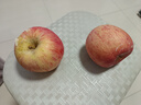 秦悅仙果鮮正宗山東煙臺(tái)紅富士蘋果新鮮水果當(dāng)季整箱棲霞脆甜蘋果 5斤【越大越甜80mm+】?jī)?斤 綠色食品認(rèn)證果園 曬單實(shí)拍圖