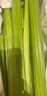 京鮮生山東新鮮大西芹凈重4.5斤榨汁現(xiàn)挖芹菜鮮嫩蔬菜 去半葉源頭直發(fā) 曬單實拍圖