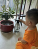 G. DUCKKIDS小黃鴨嬰兒衣服爬行服夏季拖地裝寶寶爬爬服兒童連體衣擦地板防臟 桔色短袖9分褲薄 夏（送護(hù)肘） 90cm 90碼（身高75-83厘米，19- 曬單實(shí)拍圖