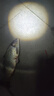 小鳳仙伊勢(shì)尼魚鉤子線組綁好子線雙鉤野釣大物專用魚鉤成品套裝鰱鳙鉤 伊勢(shì)尼有刺（鉤6#/線2.0#） 子線雙鉤-20付盒裝 曬單實(shí)拍圖