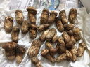 土地母親計劃 雅江松茸菌未開傘新鮮松茸鮮菌菇冷鏈空運現(xiàn)貨快至24H達團購送禮 出口級未開傘 5-5.8cm 凈重500g 曬單實拍圖