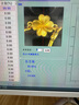 中國(guó)黃金（CHINA GOLD）黃金手鐲女足金四葉草手鐲素圈金鐲七夕情人節(jié)禮物送女友老婆 足金四葉草手鐲約5.2g*玫瑰禮盒 曬單實(shí)拍圖