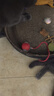 歡寵網(wǎng)貓玩具貓咪自動(dòng)逗貓球棒電動(dòng)自嗨神器自己玩解悶貓貓小貓幼貓寵物 曬單實(shí)拍圖