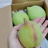 櫻鮮正宗連平鷹嘴桃蜜桃禮盒裝【JD-多地次日達】廣東河源甜脆水蜜 精選果3斤 小果(4-7個(gè)/斤) 曬單實(shí)拍圖